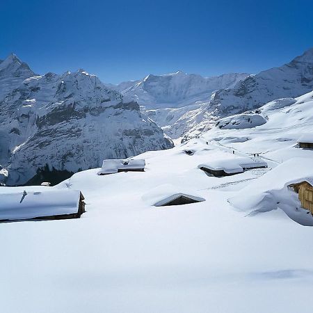 Apartment Chalet Marie Rosa-3 Grindelwald Exterior foto