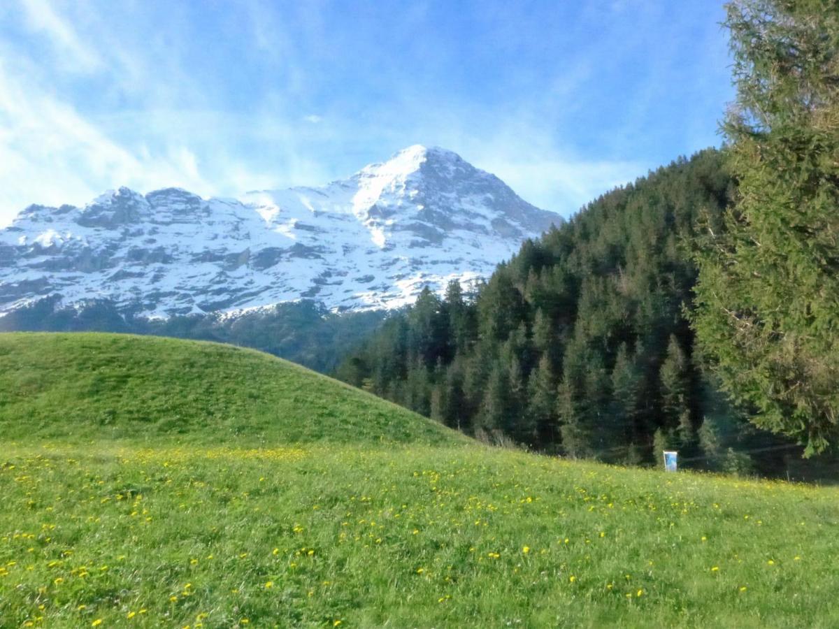 Apartment Chalet Marie Rosa-3 Grindelwald Exterior foto