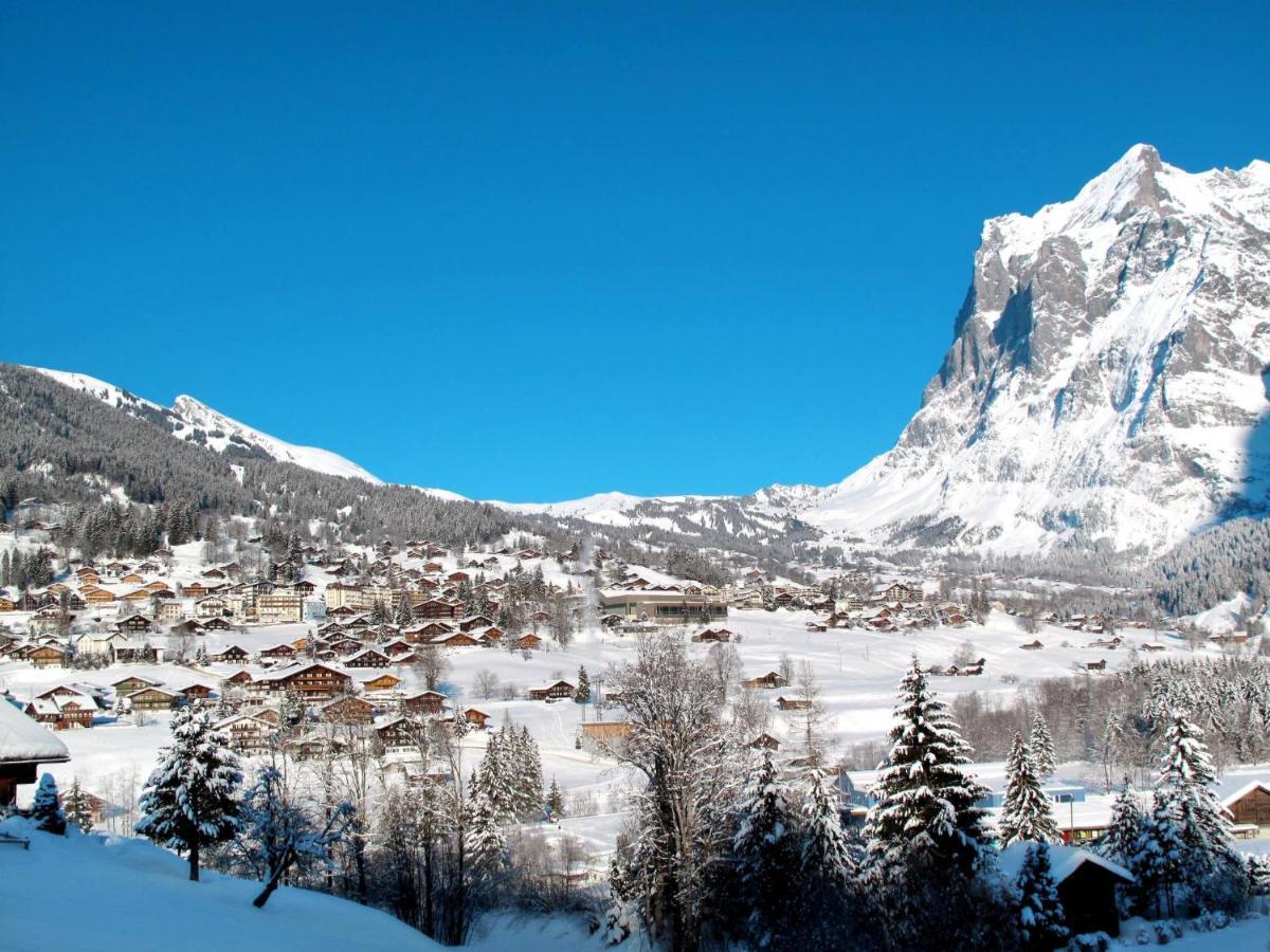 Apartment Chalet Marie Rosa-3 Grindelwald Exterior foto